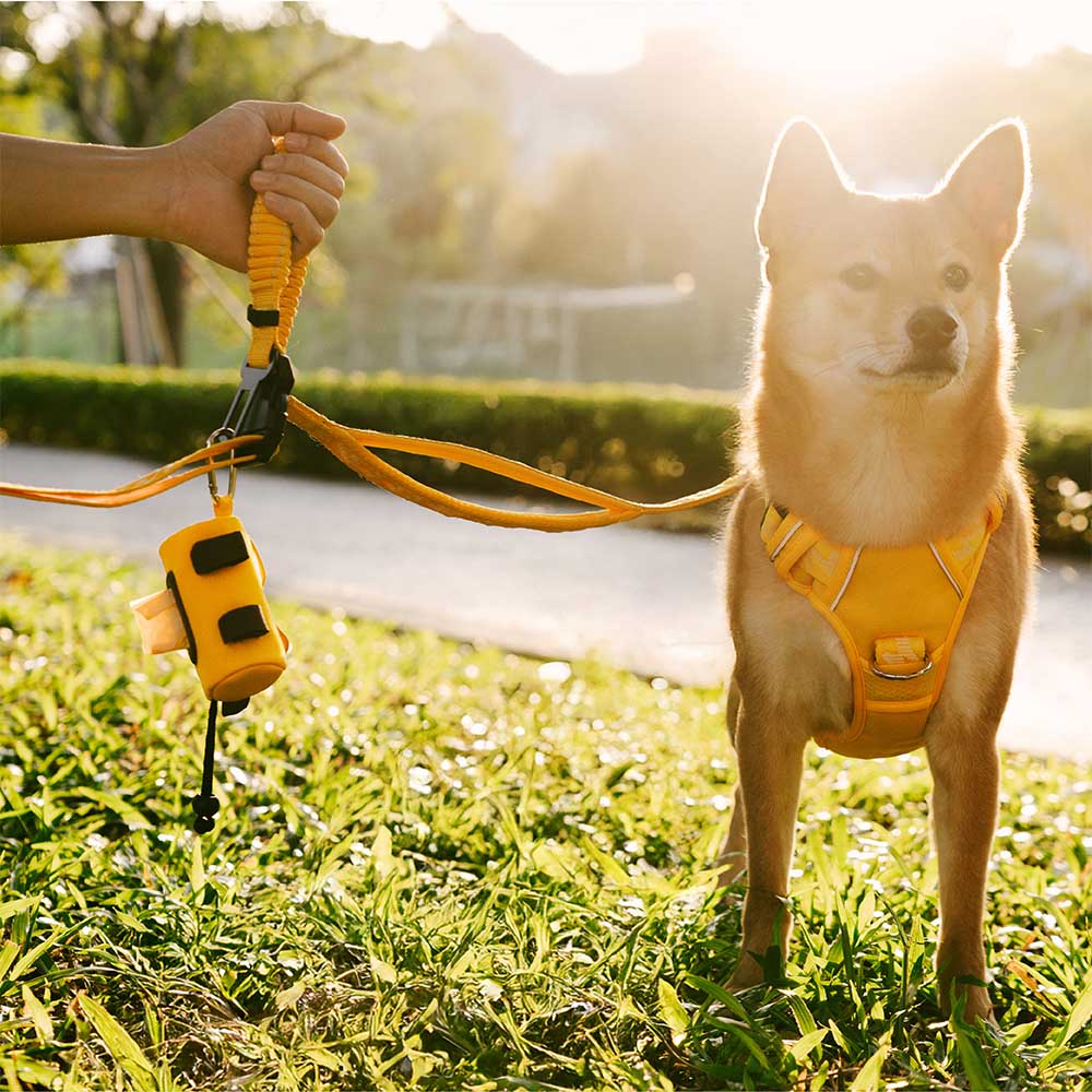 Dispensador de bolsas de caca de correa impermeable FunnyFuzzy - Flexi Walker