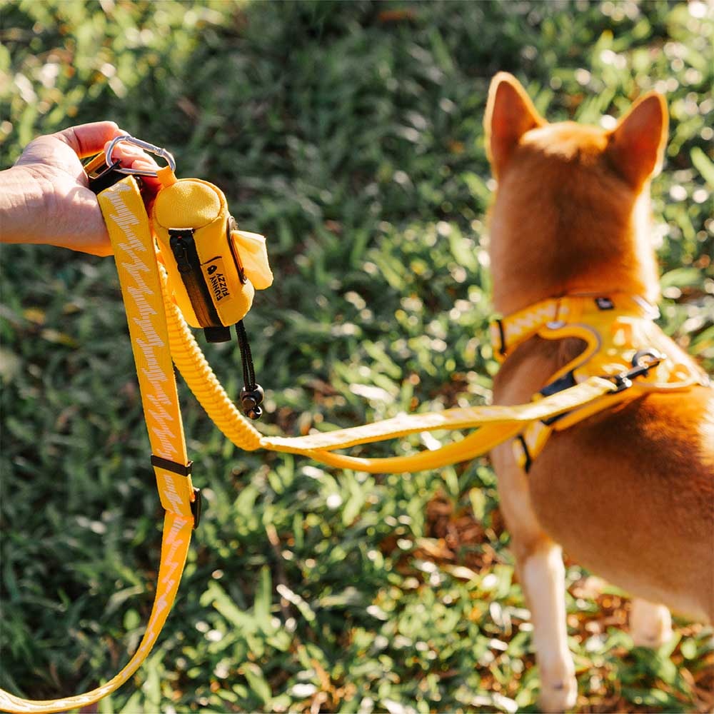 Dispensador de bolsas de caca de correa impermeable FunnyFuzzy - Flexi Walker