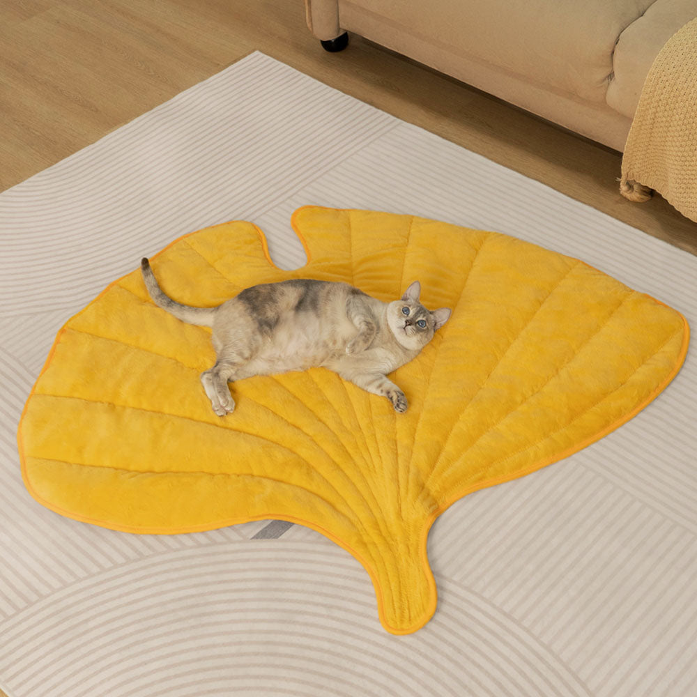 Colmillo de gato de manta lavable y relajante acogedor
