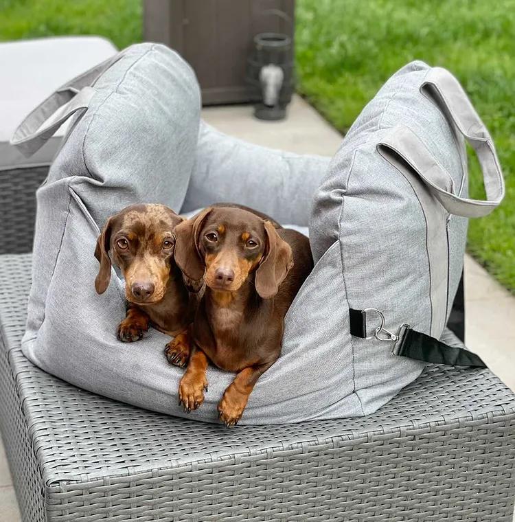 Cama para el asiento del automóvil del perro - Primera clase