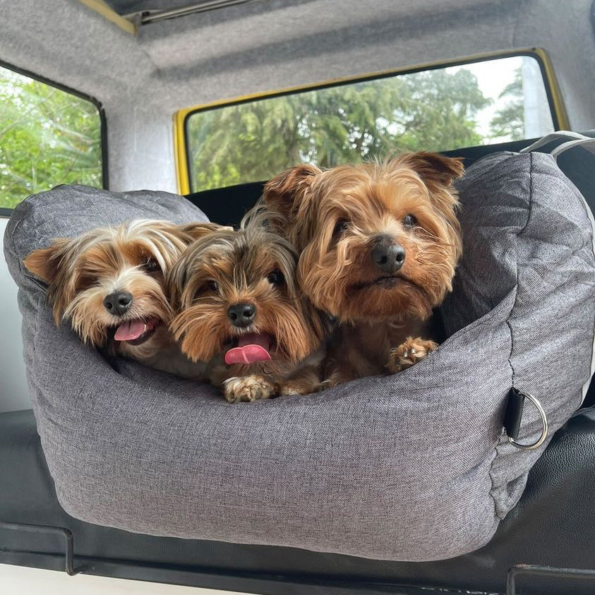 Cama para el asiento del automóvil del perro - Primera clase