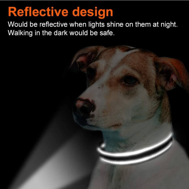 Collar de perro de nylon de seguridad reflectante ajustable
