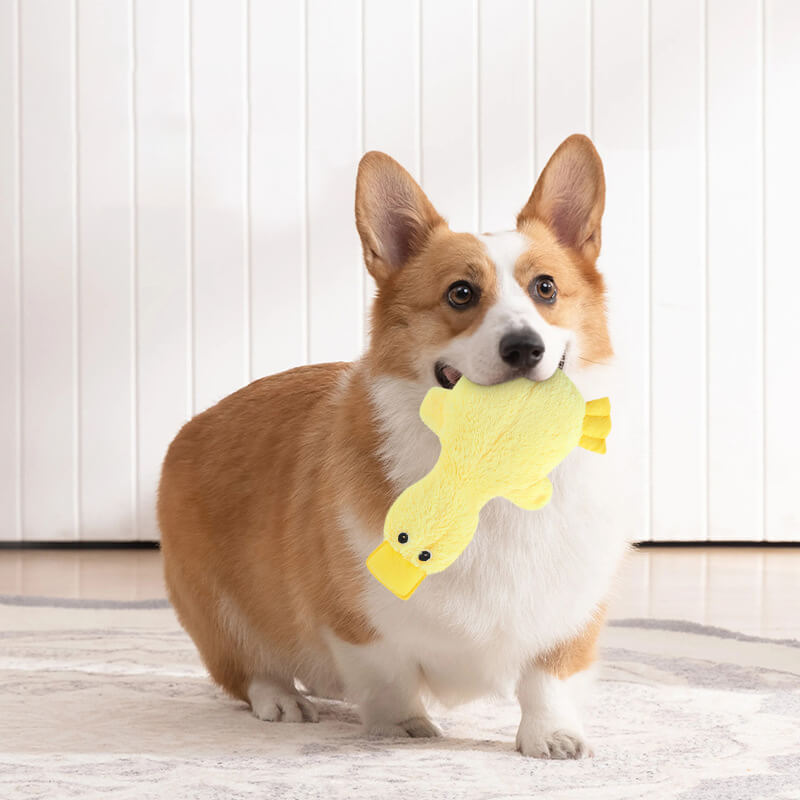 Lindo juguete de felpa de pato con juguete de masticación para perros