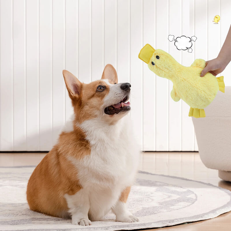Lindo juguete de felpa de pato con juguete de masticación para perros
