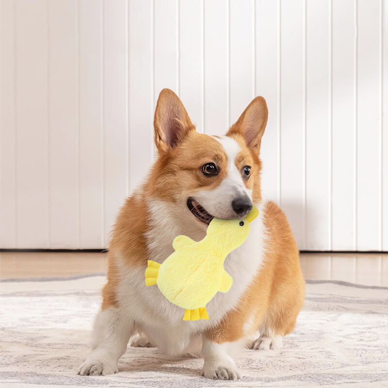 Lindo juguete de felpa de pato con juguete de masticación para perros