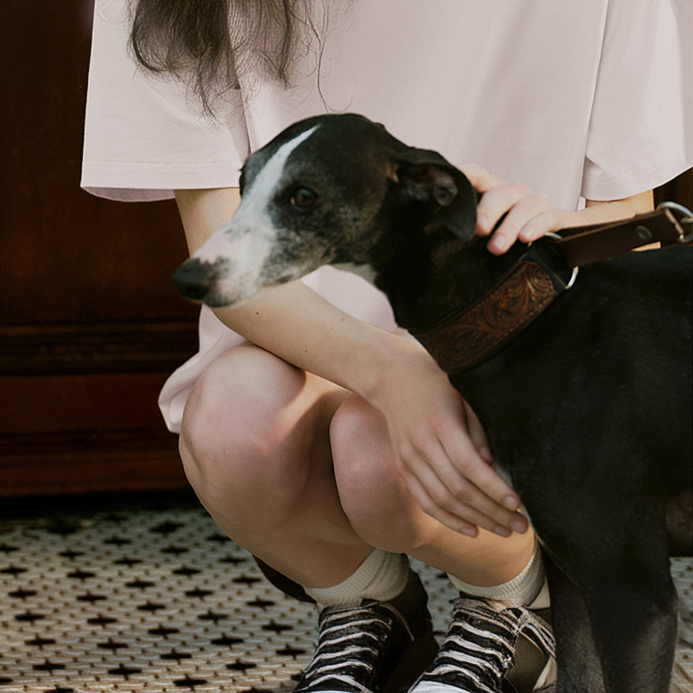 Ensemble de pyjama pour couples, respectueux de l'environnement, couleur Pure, résistant aux poils d'animaux, col ras du cou, manches courtes