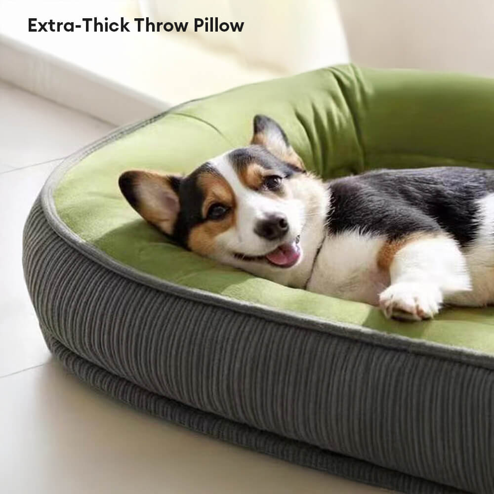 Durable Scratch-Resistant Suede Surface Dog Bed