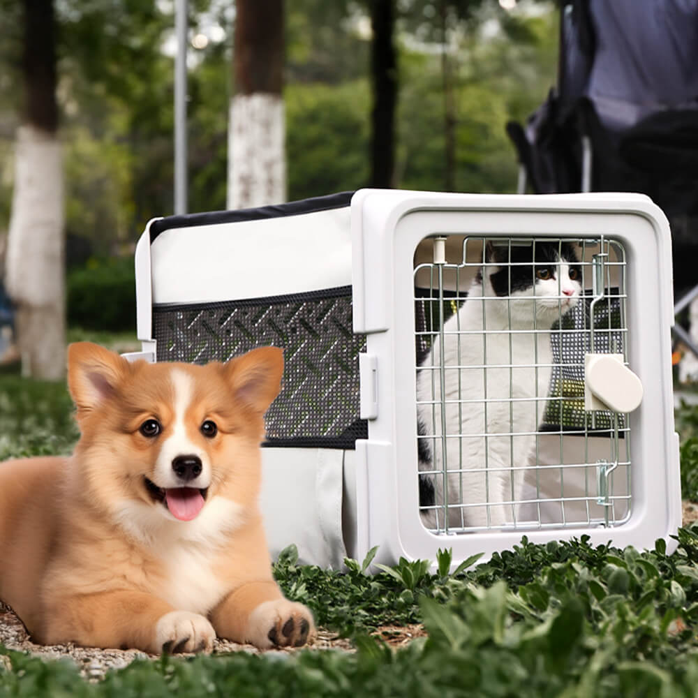 Breathable Foldable Hard-Shell Pet Carrier Crate for Cats & Small Dogs
