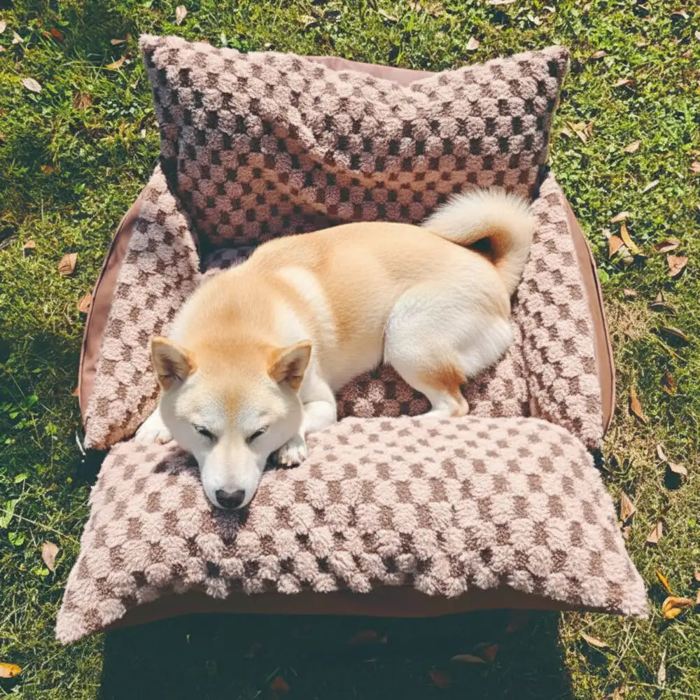 Checkerboard Faux Leather Safety Center Console Pet Car Seat and Carrier 2-in-1