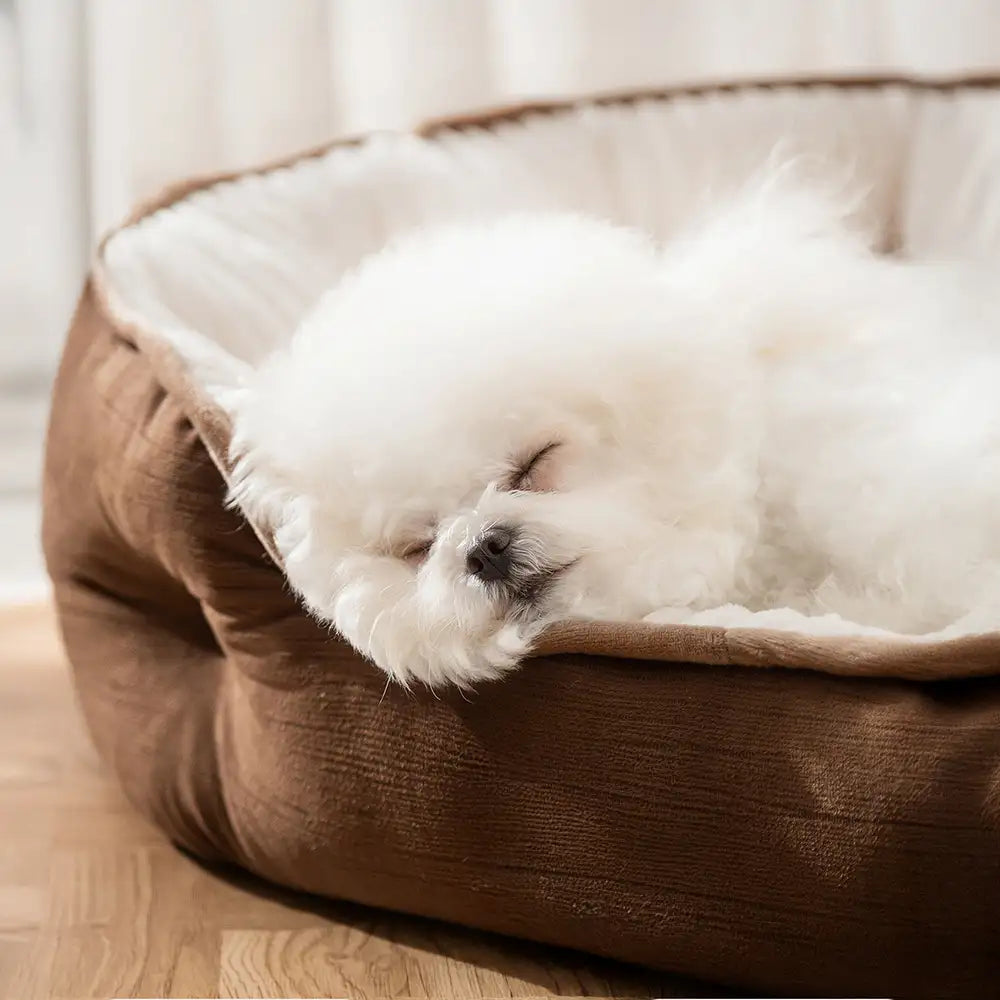 Lácha de lujosa y cómoda cama redonda de sueño profundo cama para perros