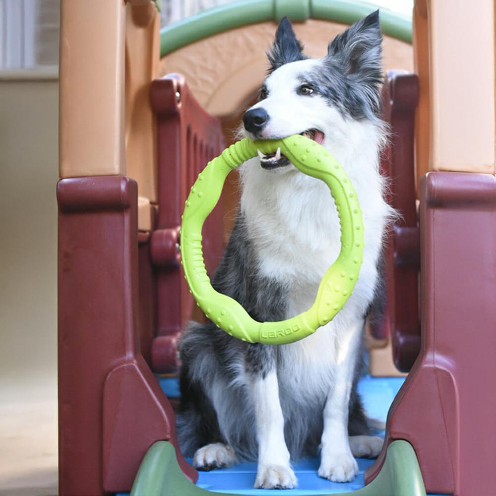 War Ring Jouet interactif pour chien durable, imperméable, léger et flexible