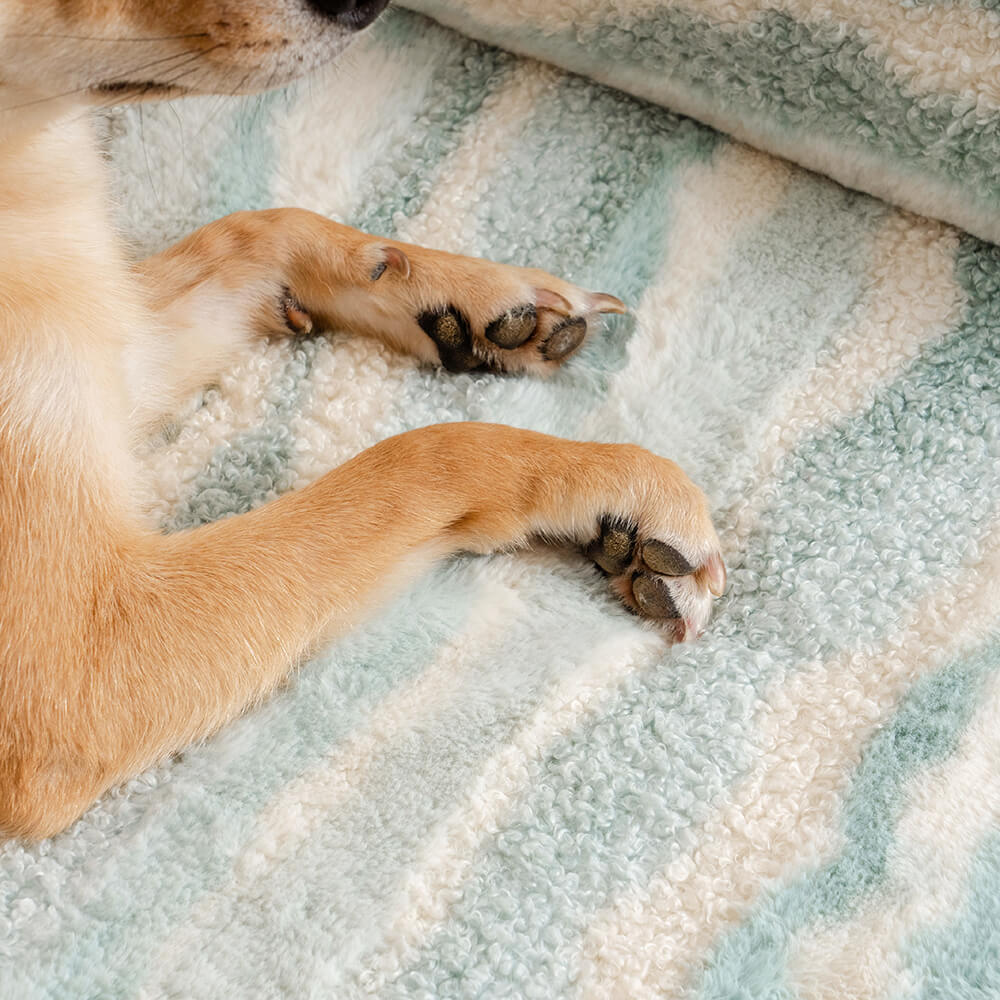 Estilo moderno falso de cordero acogedor acogedor sofá de perro ortopédico cama