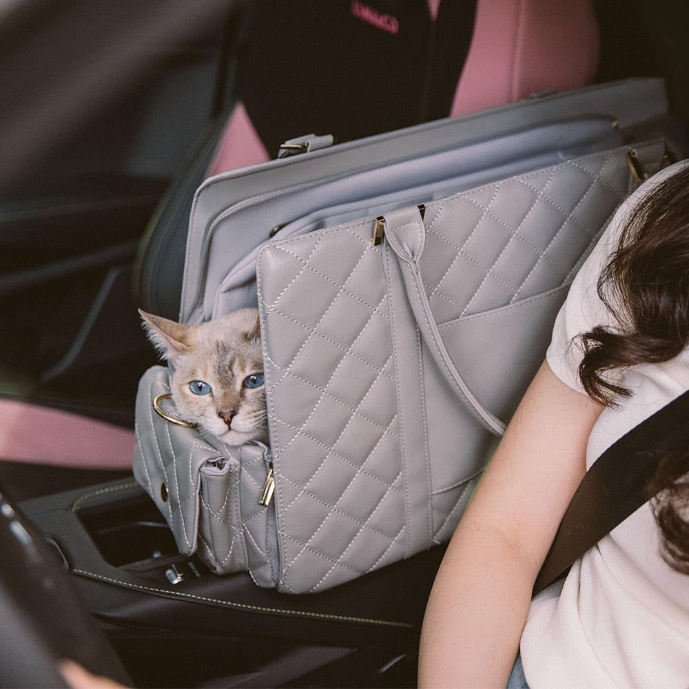 Bolsa de gato de viaje compartido de gato humano y elegante con elegantes con elegantes