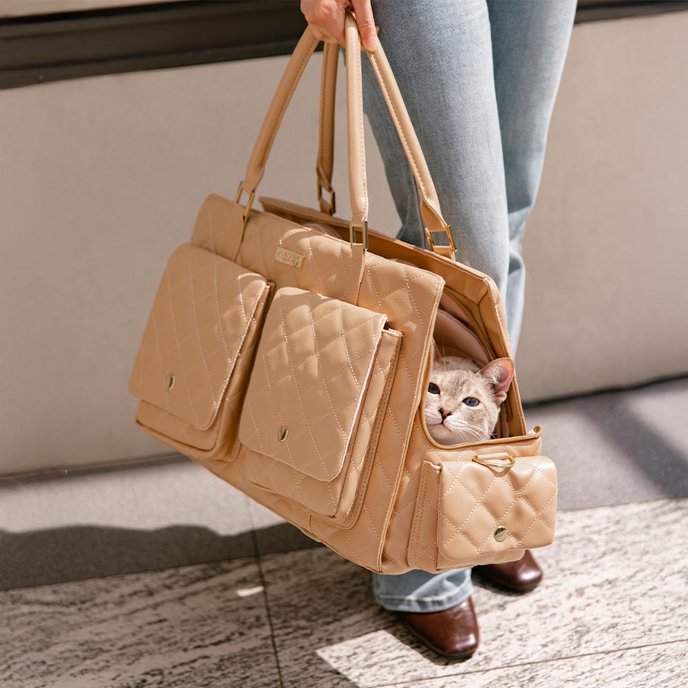 Bolsa de gato de viaje compartido de gato humano y elegante con elegantes con elegantes