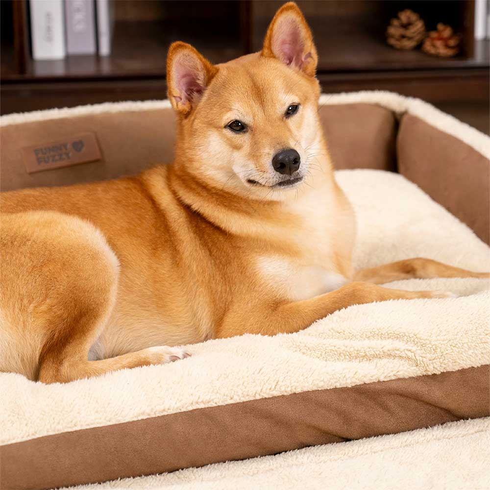 Cama de perros ergonómica de perros ergonómica elegible y expansible - Patillas tranquilas