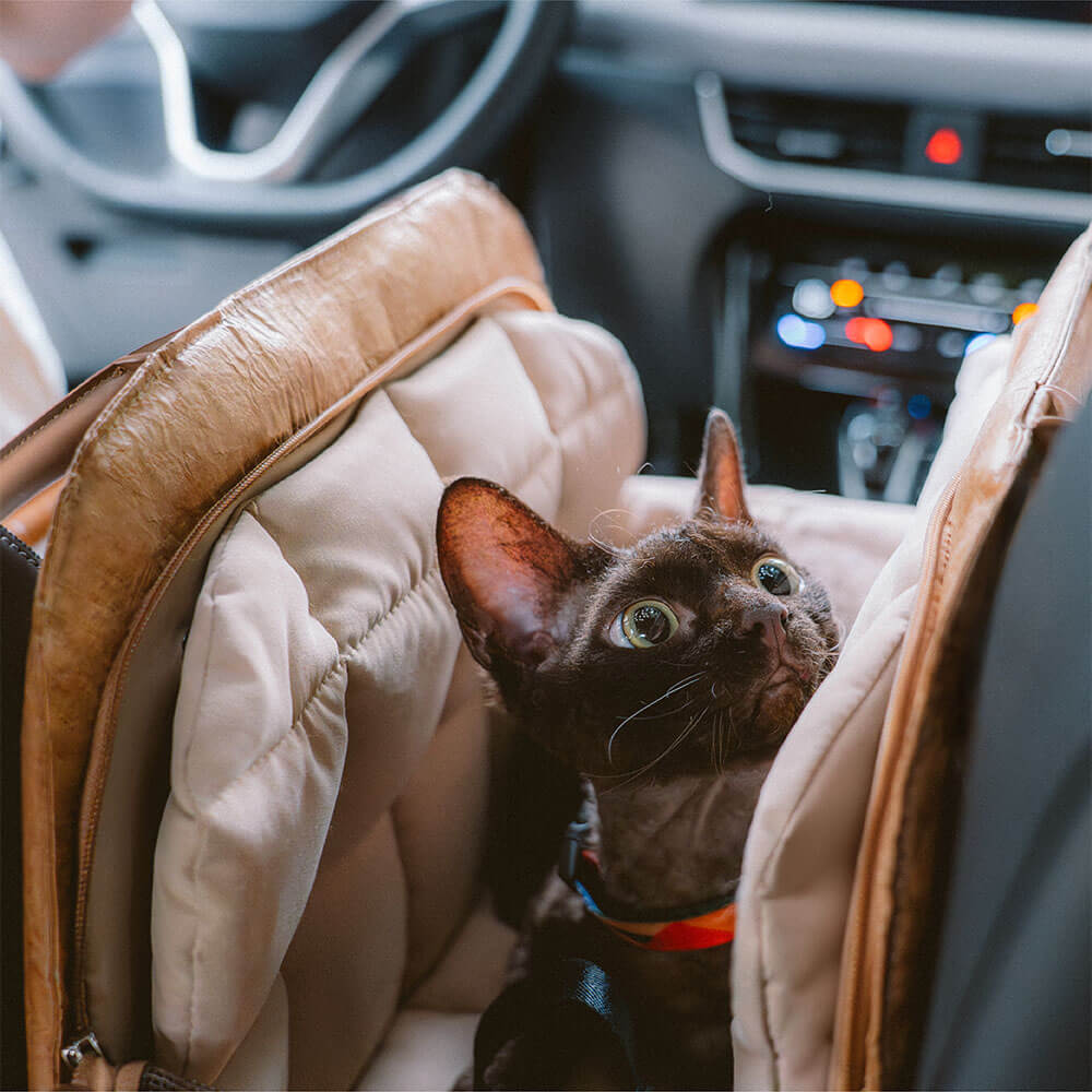 Bolsa de viajes de mascotas multifuncional de Vogue Eco-Funcional-City Roamer