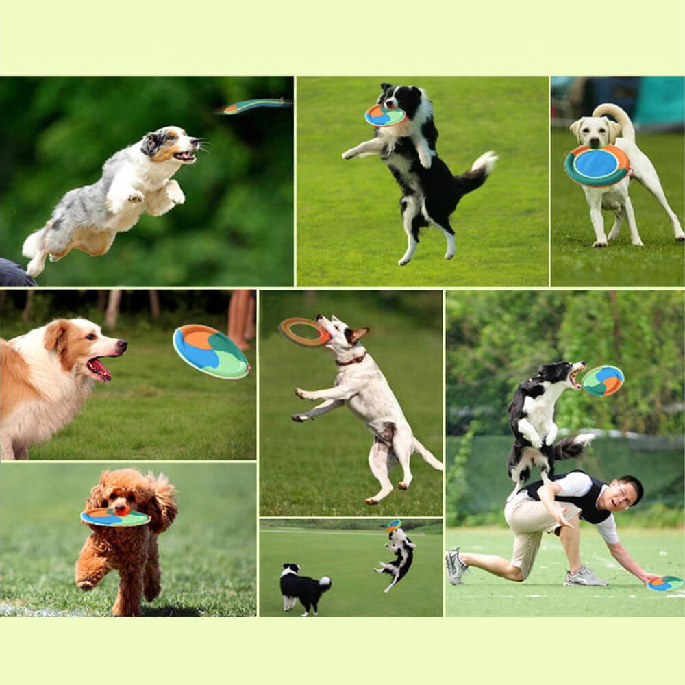 Frisbee de chien de tissu d'Oxford durable de jouet interactif extérieur de chien