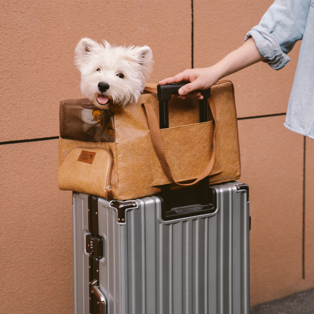 Ligero reciclable Safe Safe Cantising Travel Pet Carrier - Cama de refuerzo de EcoPet