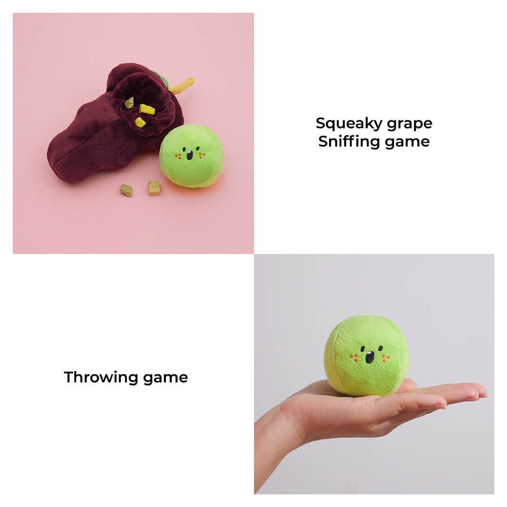 Plush Squeaky Dog Toys - Fruit