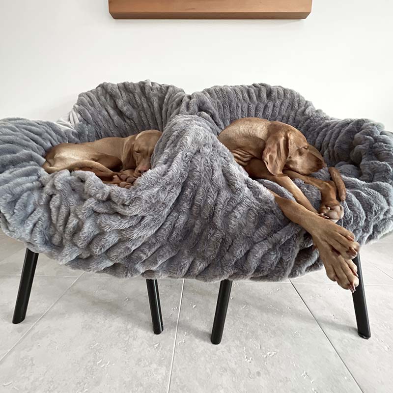 Super Soft Faux Fur & Velvet Luxury Pet Throw Blanket Human Blanket - FUNNYFUZZY