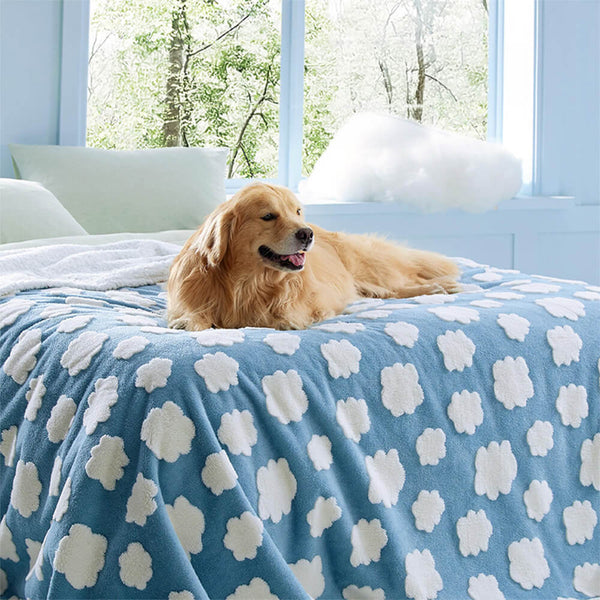 Cloud Flocked Water Water-Funcional Sherpa Dog Manket