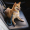 Accesorios para perros fríos ajustables de búfer cinturón de seguridad para el automóvil