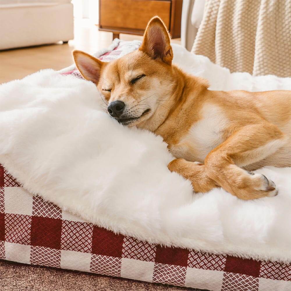 Bed de perro calmante de rectángulo de cabeza de cheque de cheques grandes - ola de ensueño