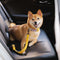 Accesorios para perros fríos ajustables de búfer cinturón de seguridad para el automóvil