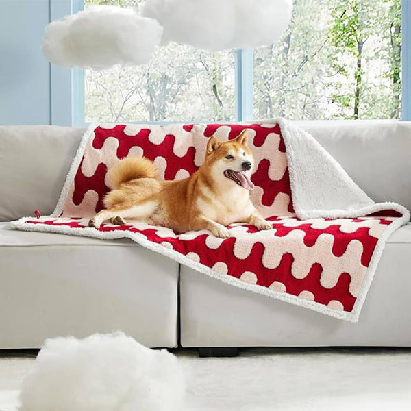 Cloud Flocked Water Water-Funcional Sherpa Dog Manket