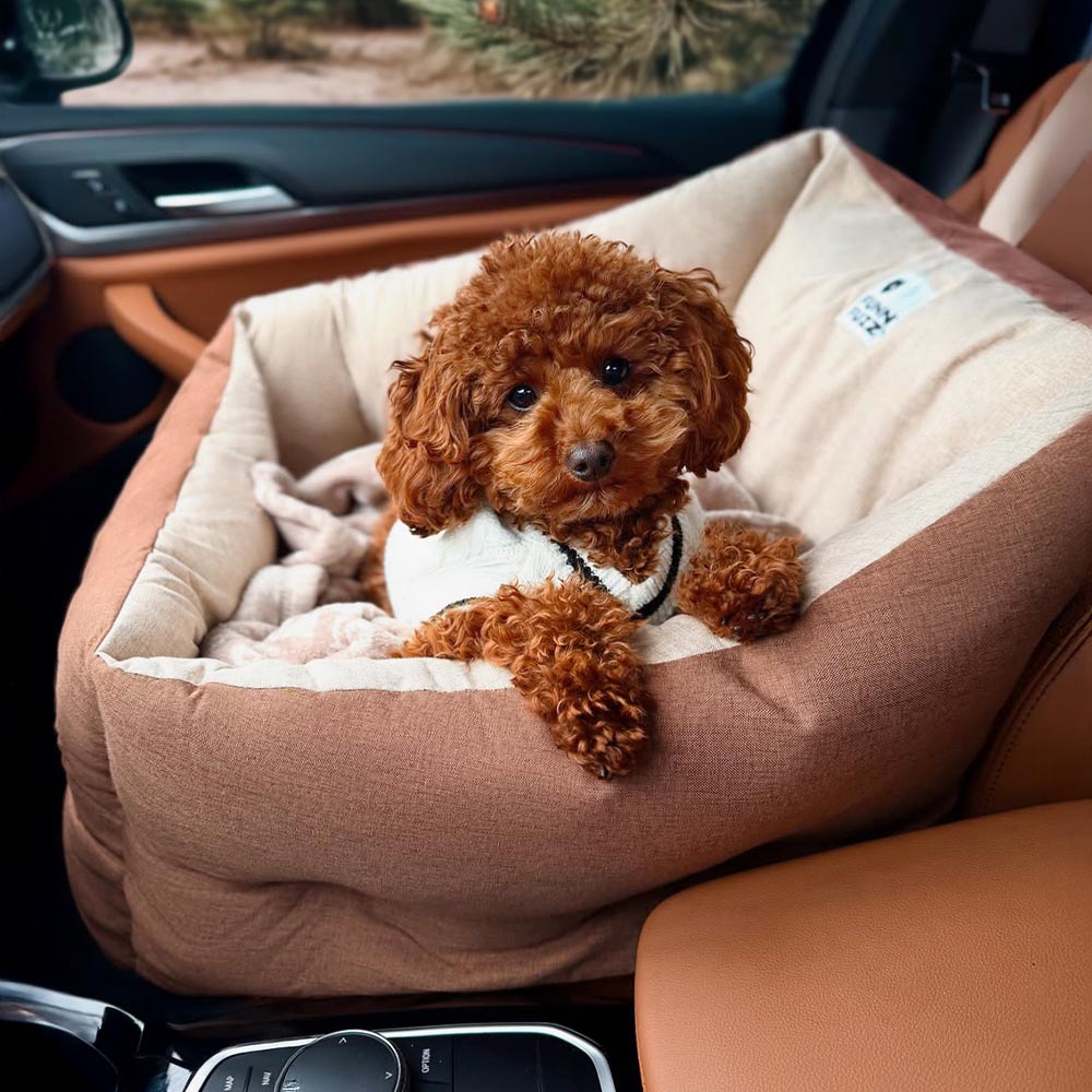 Proteção de viagem Booster Cama de assento de carro para cachorro elevada e espessa à prova d'água