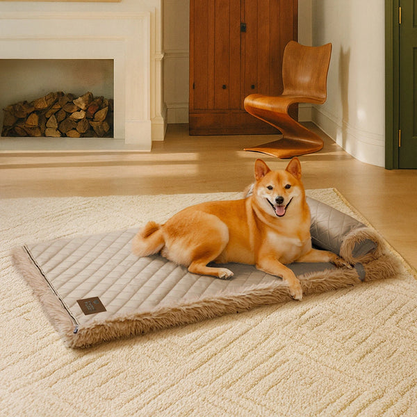 Dual-Sided Faux Leather＆Warm Plush Removable Sponge Dog Mat With Pillow