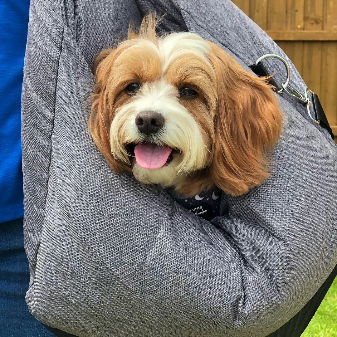 Cama para el asiento del automóvil del perro - Primera clase