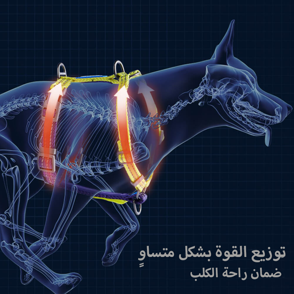 حزام توازن عاكس للضوء مزود بإبزيم للرقبة مانع للسحب للكلاب