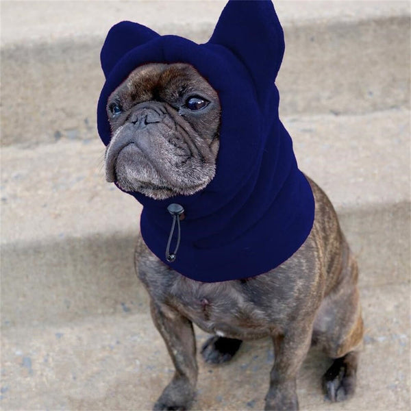Capucha para perros de vellón con orejas de oso: ropa de invierno divertida y acogedora