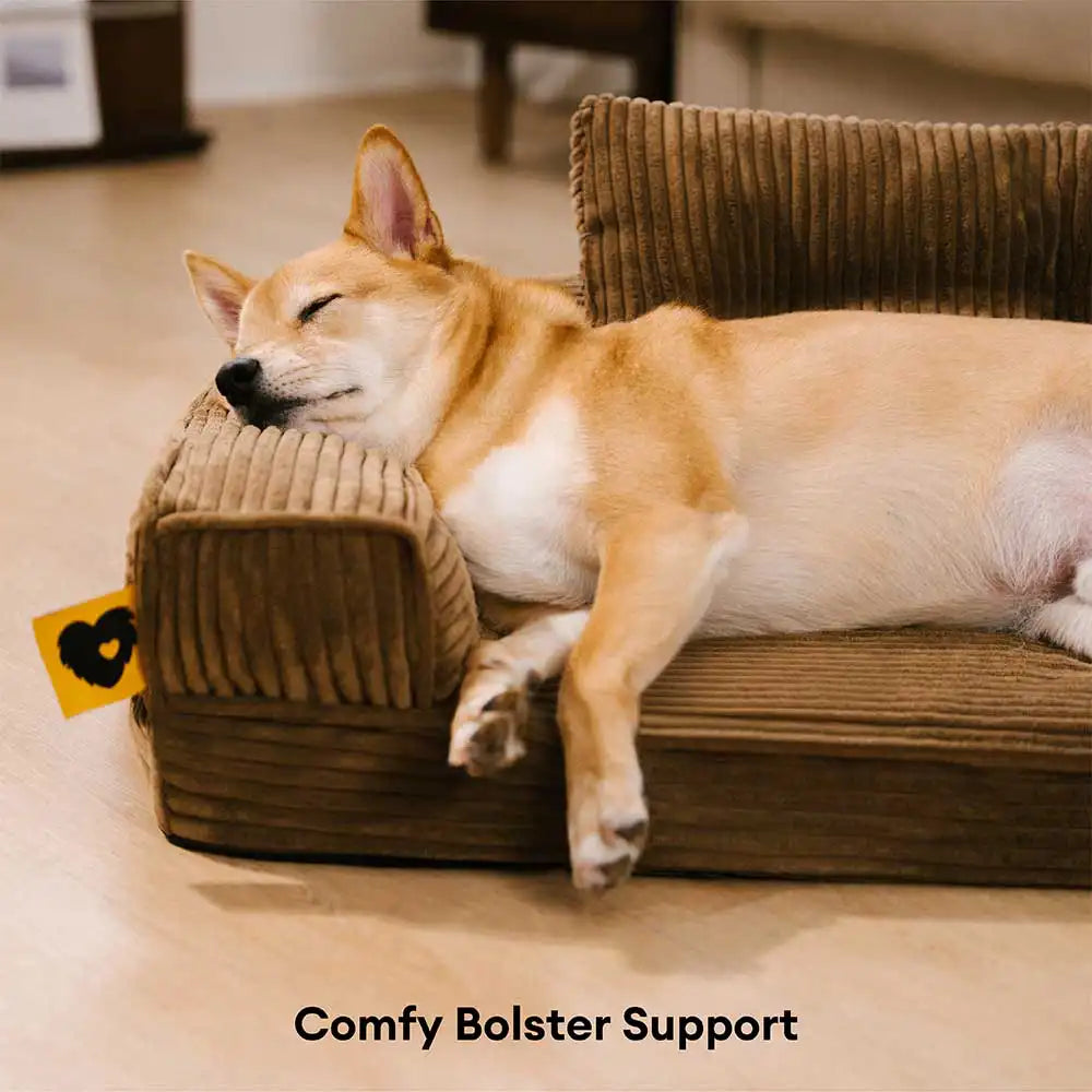 Cana de cana Anti -Scratch Exprovable Cama de perros ortopédica con almohada - COMFYSOFA