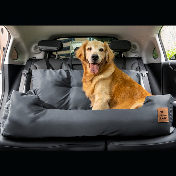 Camino de asiento trasero de carro de seguridad para refuerzo