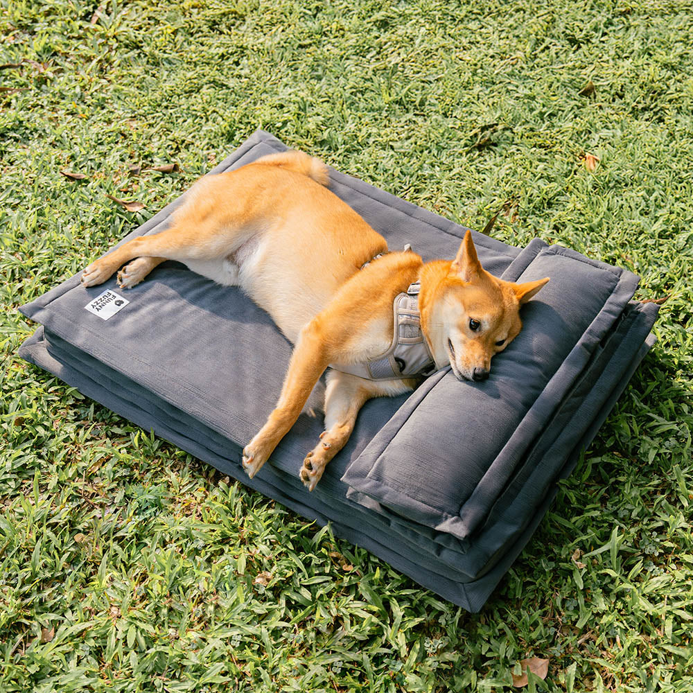 Anti-anxiété avec support en éponge Lit pour chien à sommeil profond