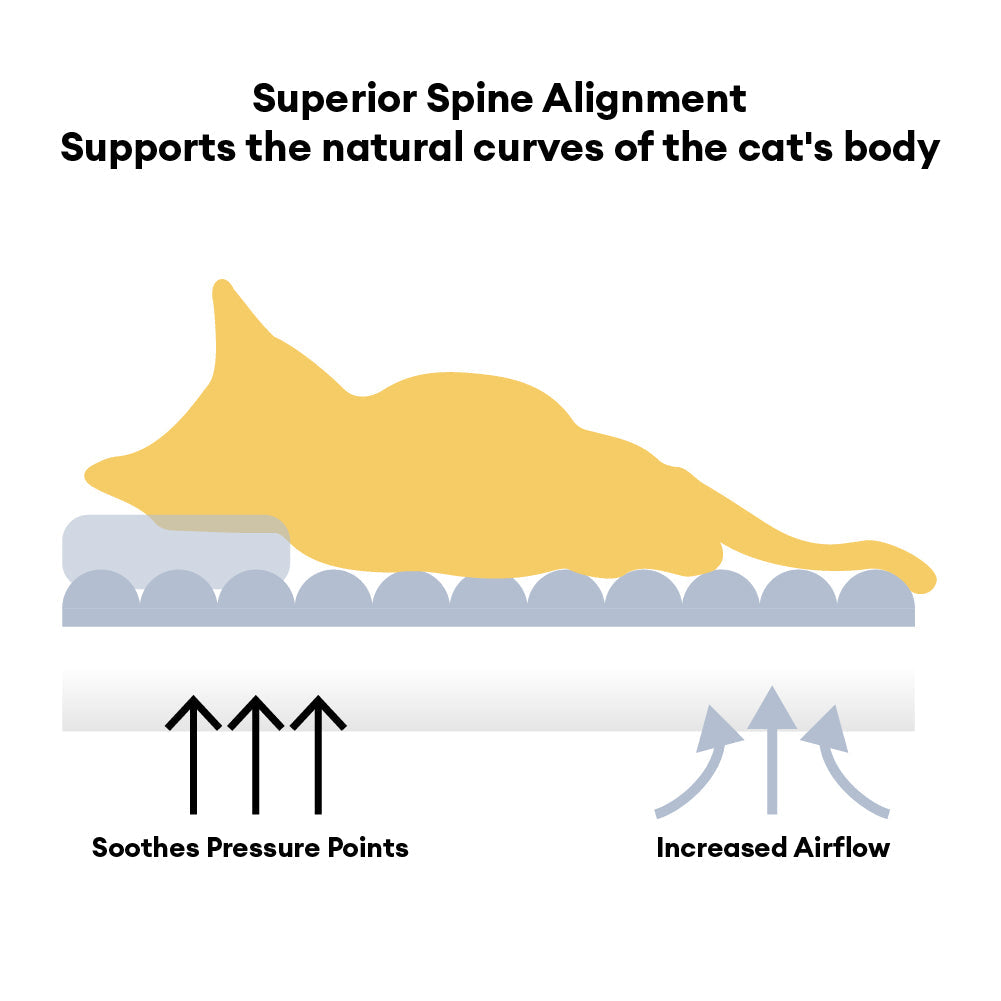 كنبة قطط مريحة مزودة بوسادة تقويم العظام بتصميم كارفين كلاسيكي