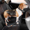 Colorful Buffer Adjustable Cool Dog Accessories Car Seat Belt