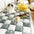 Garden Chic Cotton Protective Couch Coach