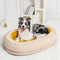 Lit pour chien - Donut