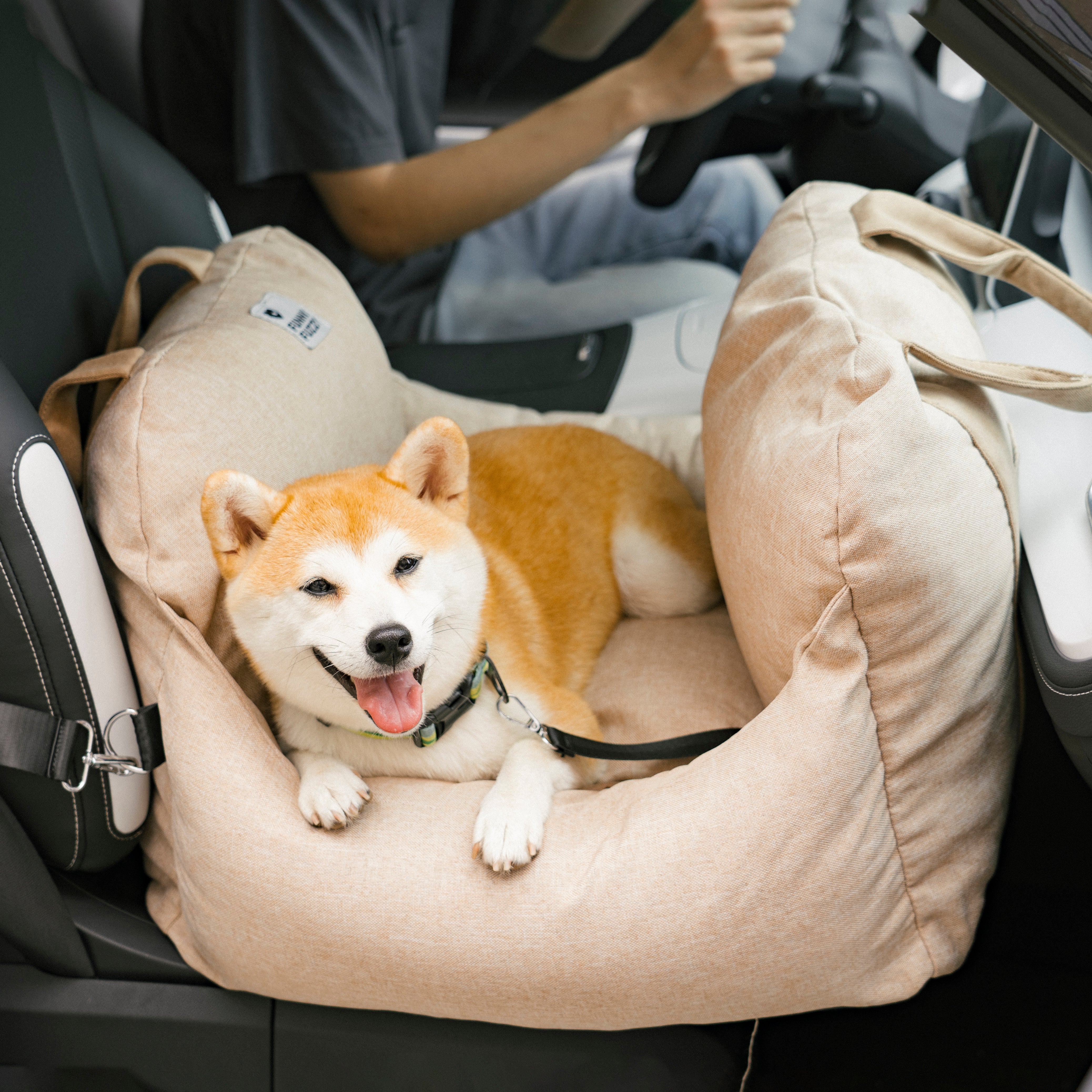 Cama para el asiento del automóvil del perro - Primera clase