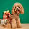 Weihnachtlich dicker, warmer Rollkragen-Hundepullover, passende Socken für Haustier und Besitzer