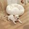 Cama de soporte de donas redondo ultra suave y gato