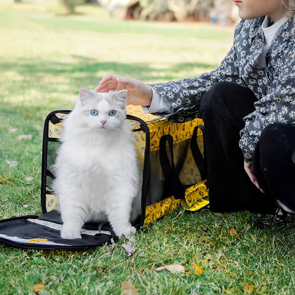 Breathable Mesh Foldable Lightweight Travel Dog & Cat Carrier Bag