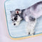 All Season Breathable Orthopedic Dog Bed with Waterproof Liner and Pillow
