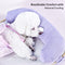 All Season Breathable Orthopedic Dog Bed with Waterproof Liner and Pillow