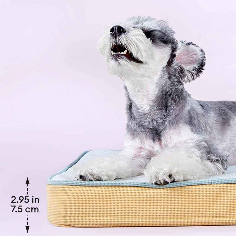 All Season Breathable Orthopedic Dog Bed with Waterproof Liner and Pillow