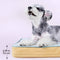 All Season Breathable Orthopedic Dog Bed with Waterproof Liner and Pillow