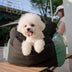 Color-block Travel Booster Multi-Functional Dog Car Seat Bed